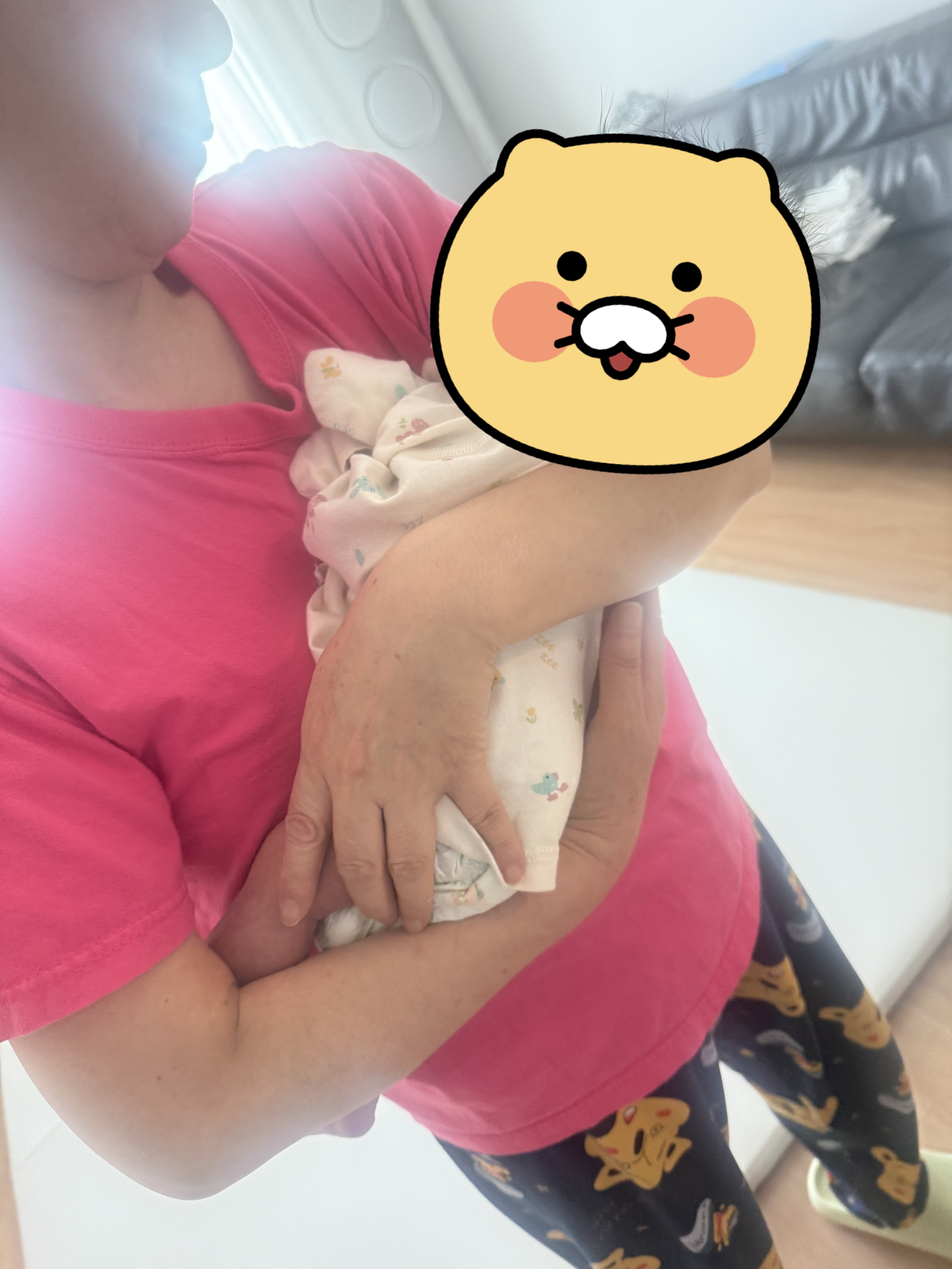 이미지